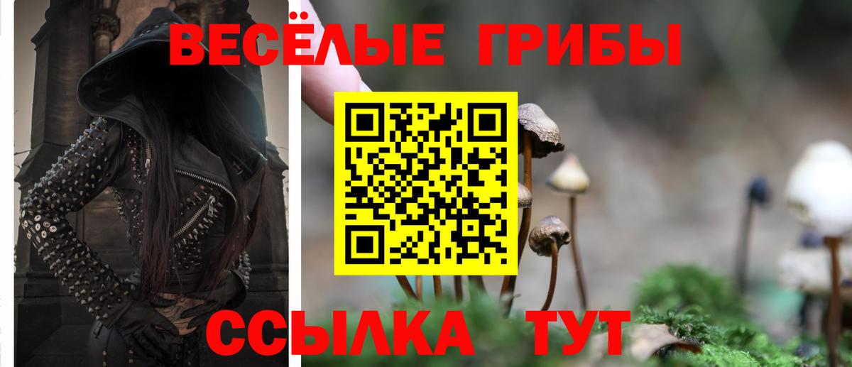купить наркотики цена  Псилоцибиновые грибы мухоморы  Вход с VPN  Свободный 